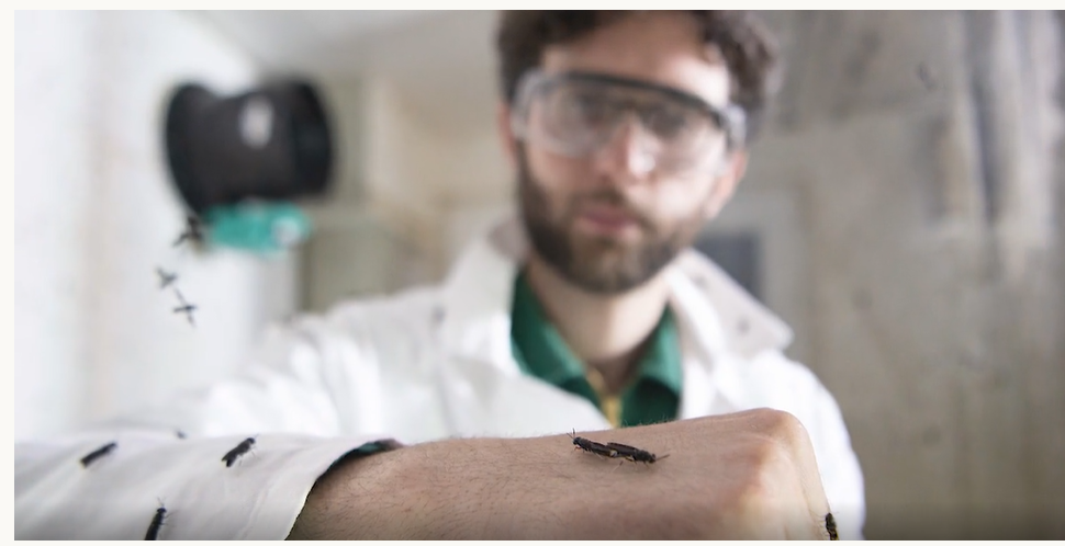 Иновативен проект за производство на протеини от насекоми LIFE- Waste2Protein